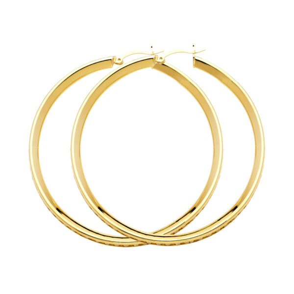 ER1130 CZ Hoop Earrings