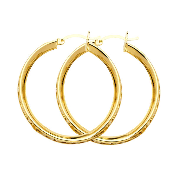 ER1132 CZ Hoop Earrings