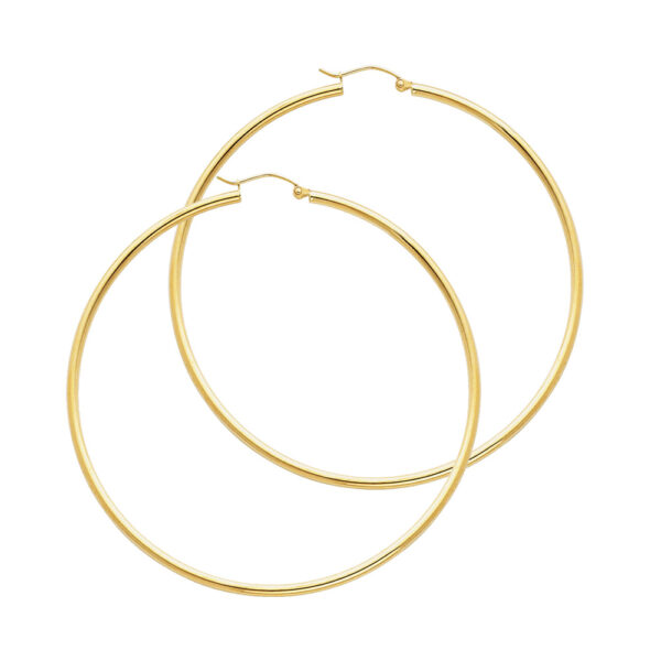 ER135 Hoop Earrings