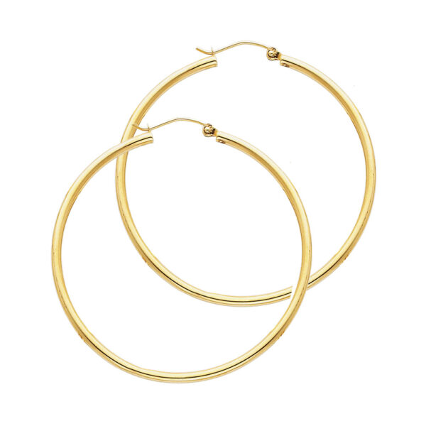 ER137 Hoop Earrings