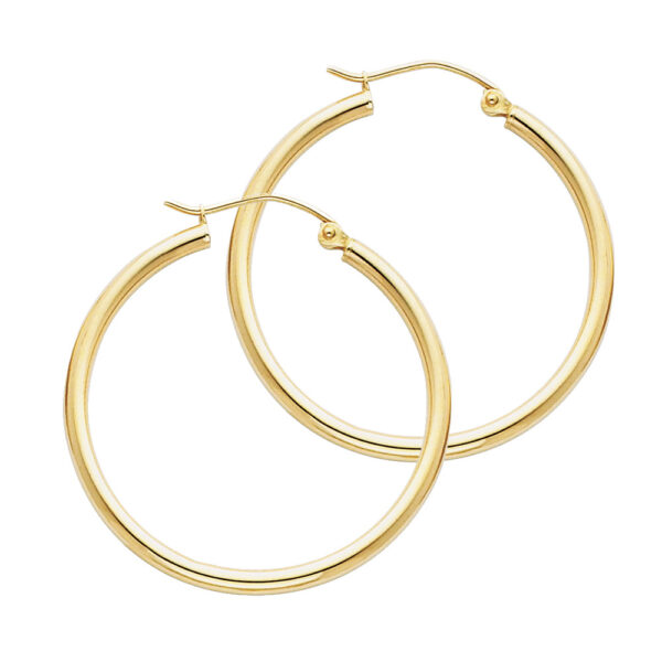 ER138 Hoop Earrings