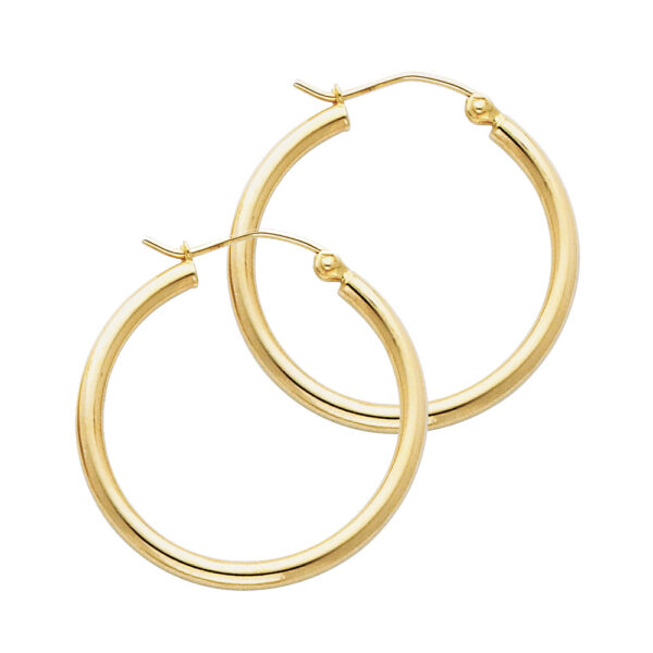 ER139 Hoop Earrings