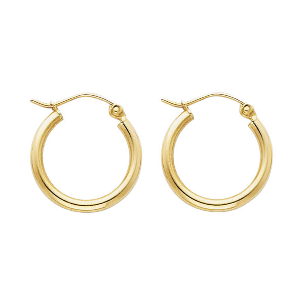 ER141 Hoop Earrings