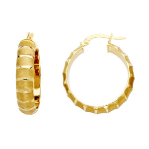 ER467 Fancy Hoop Earrings