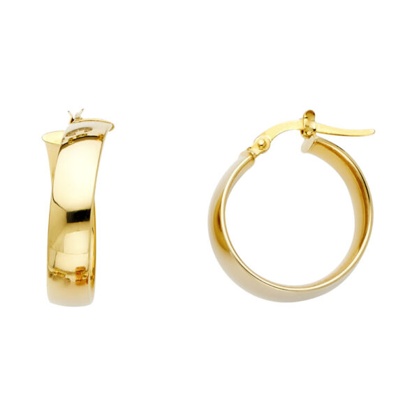ER476 Fancy Hoop Earrings