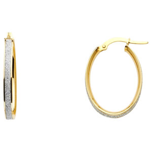 ER666 Glitter Earrings