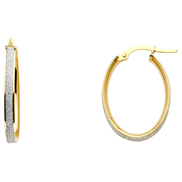 ER666 Glitter Earrings