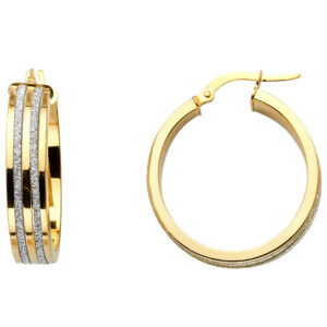 ER669 Glitter Earrings