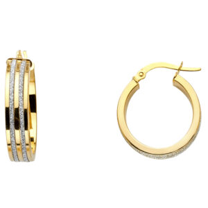 ER672 Glitter Earrings