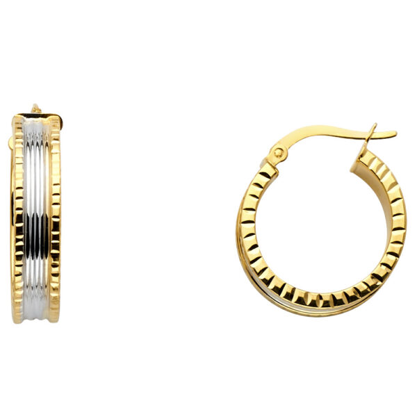 ER678 Fancy Hoop Earrings