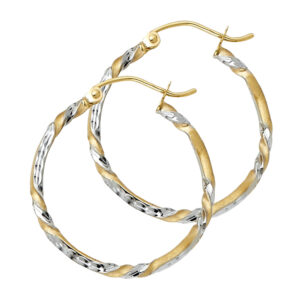ER924 Hoop Earrings