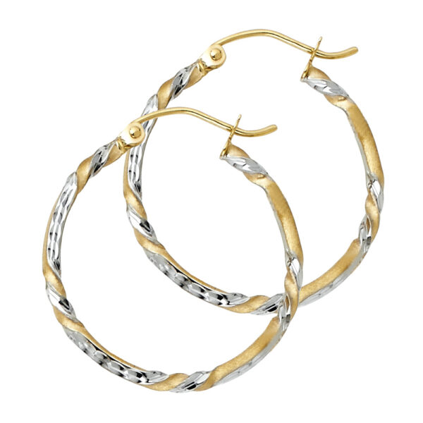 ER924 Hoop Earrings