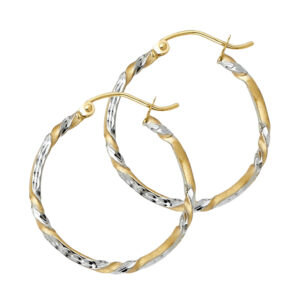 ER925 Hoop Earrings