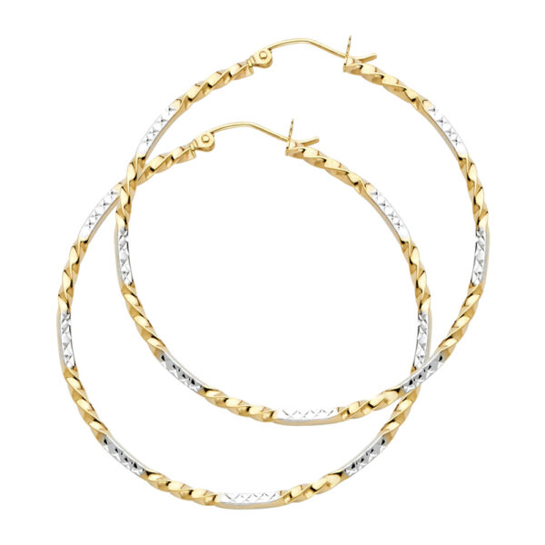ER932 Hoop Earrings
