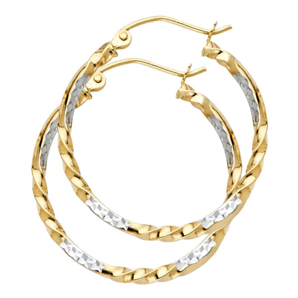 ER933 Hoop Earrings