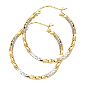 ER934 Hoop Earrings