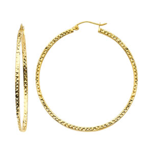 ER937 Hoop Earrings