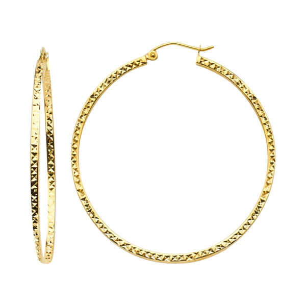 ER937 Hoop Earrings