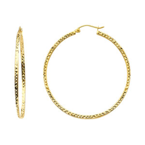 ER938 Hoop Earrings