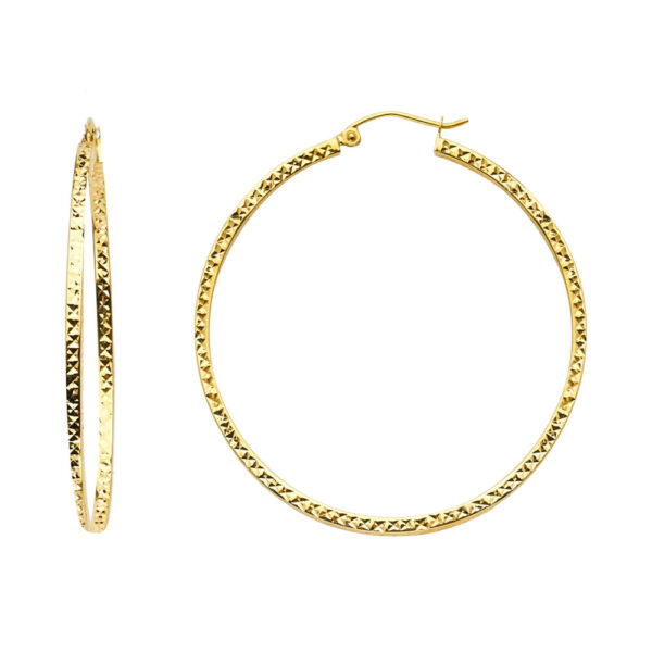 ER938 Hoop Earrings
