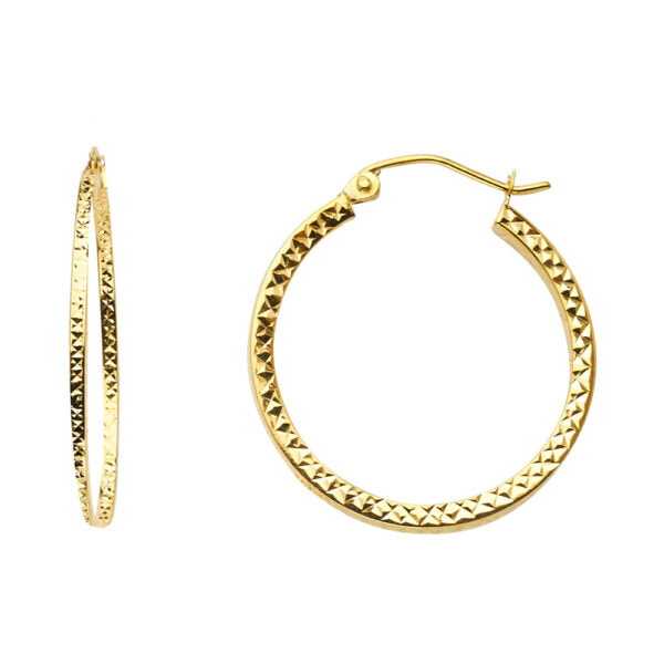 ER939 Hoop Earrings