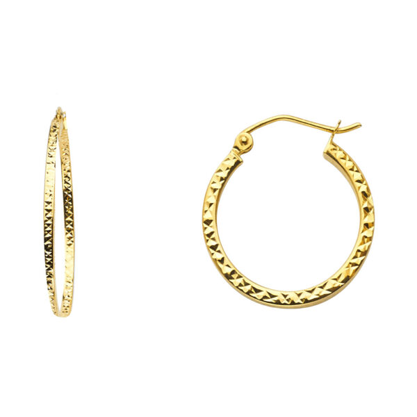 ER940 Hoop Earrings