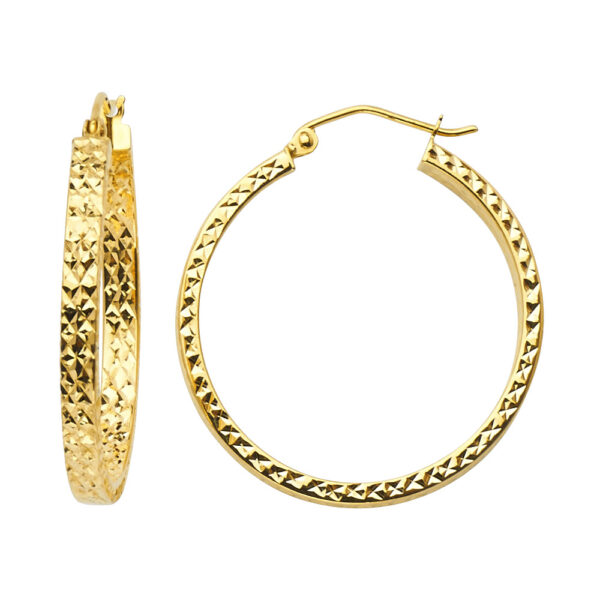 ER941 Hoop Earrings