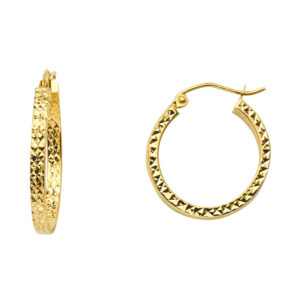 ER942 Hoop Earrings
