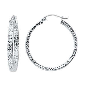 ER947 Hoop Earrings