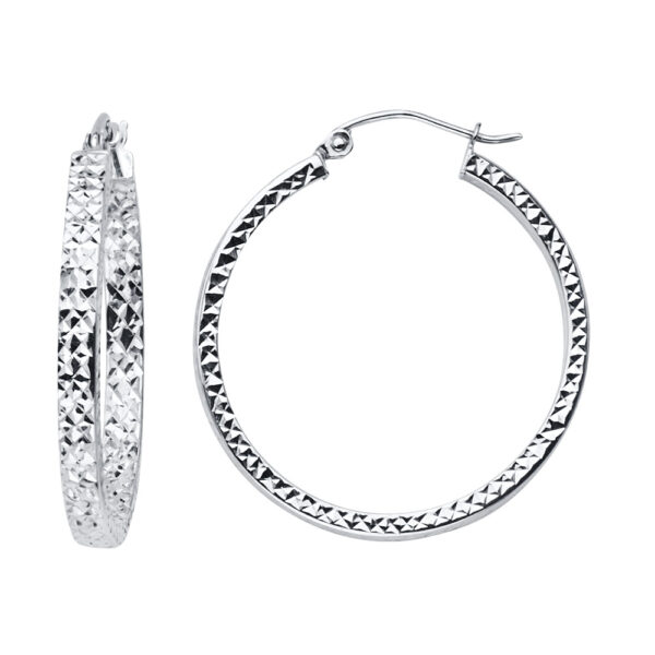 ER947 Hoop Earrings